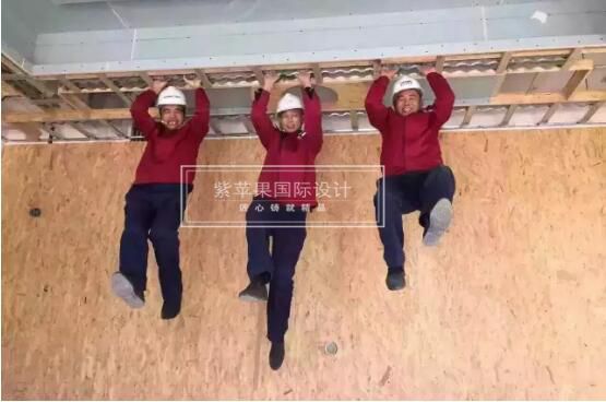 無(wú)錫紫蘋(píng)果裝飾